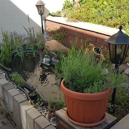 Apartment Gartenblick Neunkirchen  Ngoại thất bức ảnh