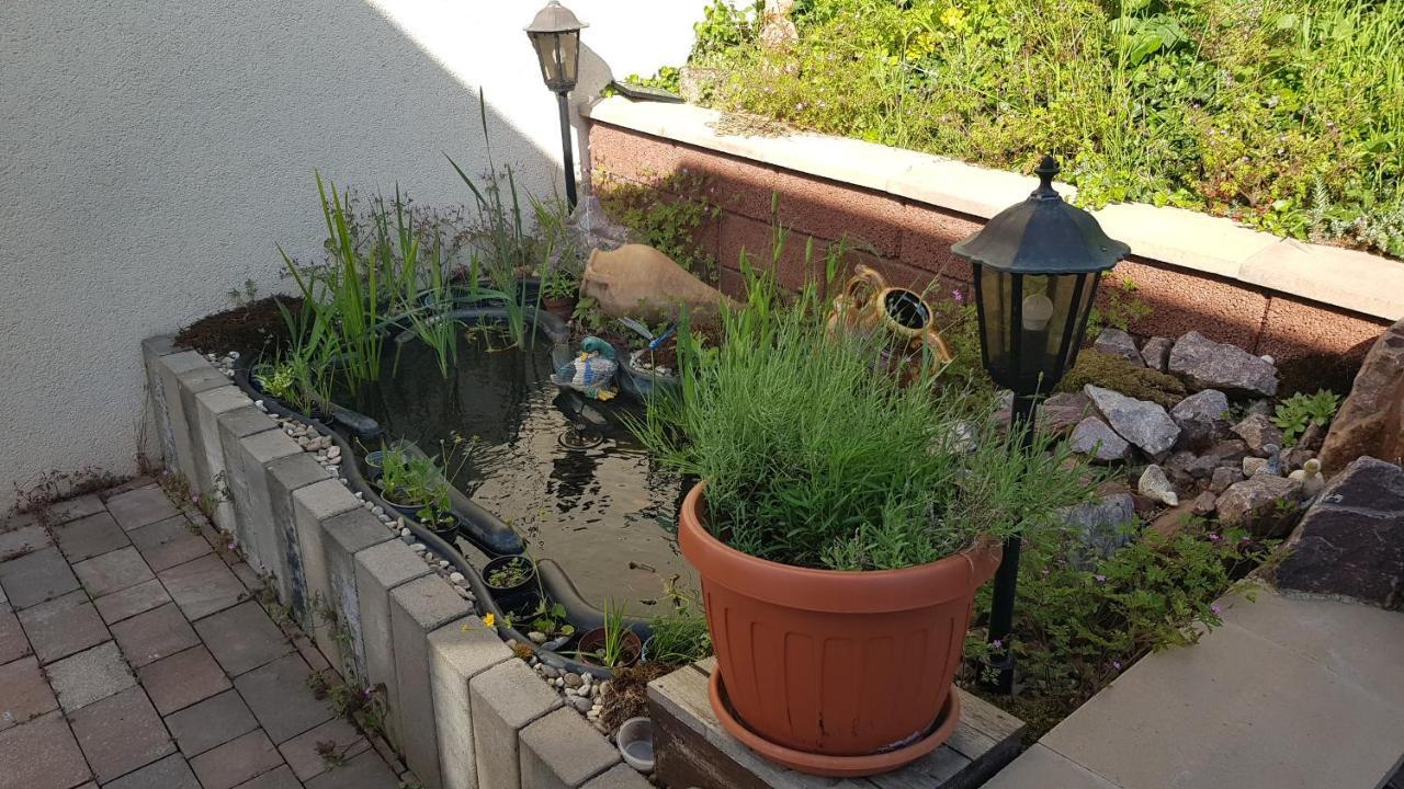 Apartment Gartenblick Neunkirchen  Ngoại thất bức ảnh